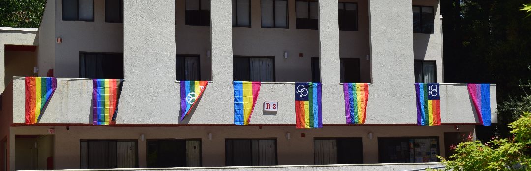 Kresge Pride flags on R3 dorm